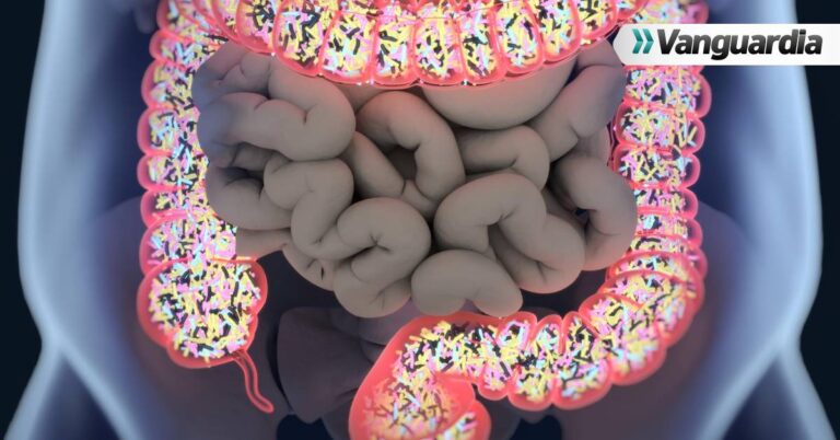La relación entre la microbiota intestinal y el bienestar