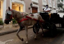 Cocheros sin caballos: transformar las tradiciones en pro del bienestar animal | Noticias hoy
