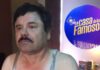 ¡No lo podrás creer! Esta es la relación de Joaquín «El Chapo» Guzmán con «La Casa de los Famosos 4»