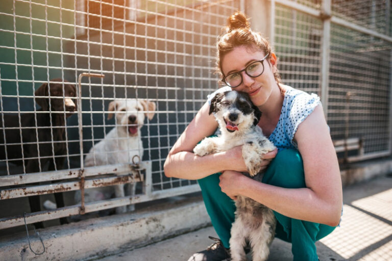 Organizaciones se suman al ‘Pacto por la Protección de los Animales’ impulsado por Listín Diario