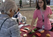 Evite la diabetes con nutrición y ejercicio | Adelante Valle