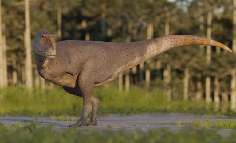 Nueva especie de dinosaurio carnívoro en la Patagonia Argentina