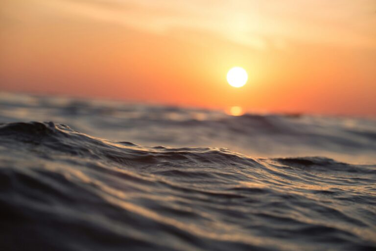 República Dominicana lanza Manual de Monitoreo de Ecosistemas Marino-Costeros