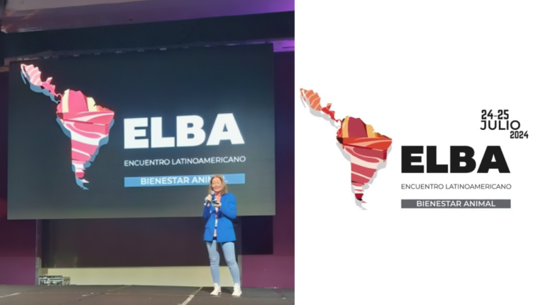 Culminó “Primer Encuentro Latinoamericano de Bienestar Animal 2024” – Notas de prensa del sector porcino