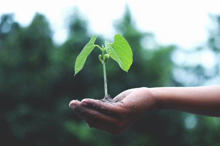 Embajada de Estados Unidos e INDOMET lanzan iniciativa para enfrentar crisis climática