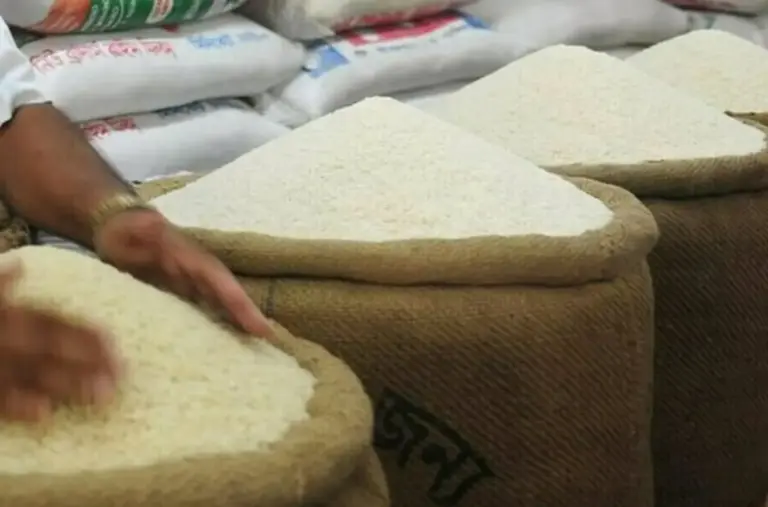 República Dominicana obligada a tecnificar la agricultura para no desaparecer como sector
