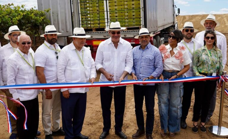 Dominicana República envía la primera mesa de exportación de uva a nosotros