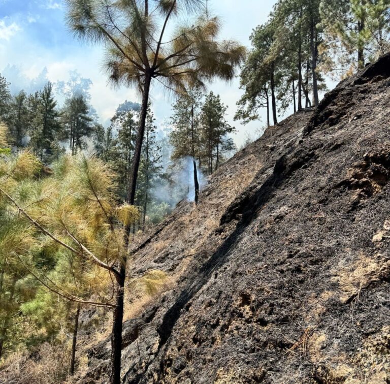 Bomberos forestales controlan fuego en San José de Ocoa