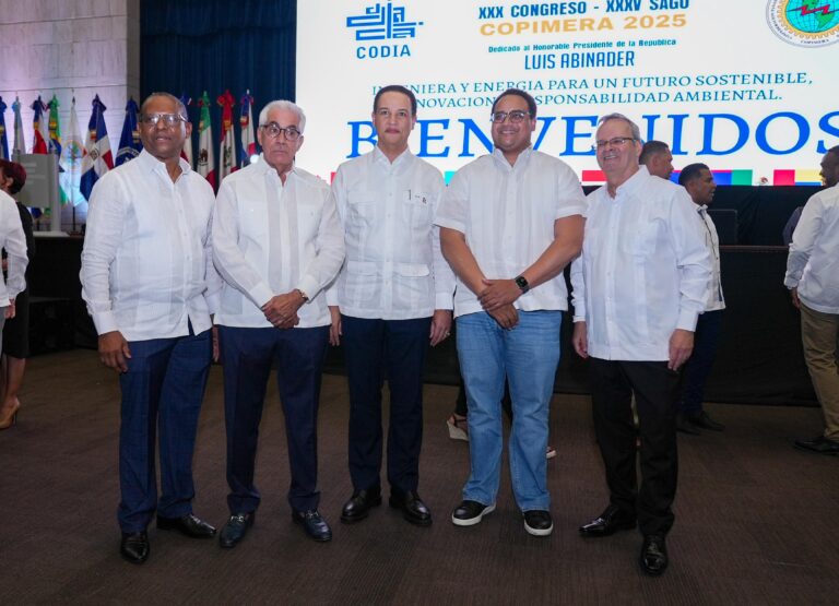Gobierno busca llevar el servicio eléctrico al 99.5 % de hogares dominicanos para 2030