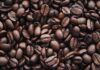 Las exportaciones de café dominicanas se disparan