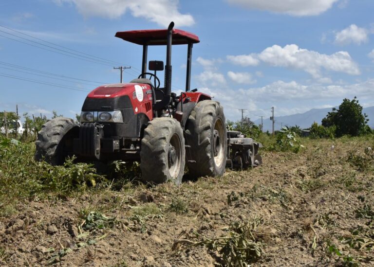 El Ministerio de Agricultura implementa la prohibición de cultivos estacionales en Azua