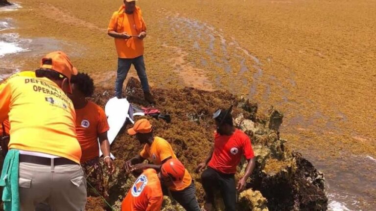Sargassum y saharan cuestan polvo Búsqueda de personas desaparecidas en el naufragio de Juanillo