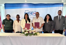 Index y Alianza Dominicana Cultural Center unen esfuerzos por las nuevas generaciones de la diáspora