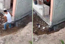 Solo en Venezuela: La maniobra que sorprendió a todos para mover una casa completa en Urama (VIDEOS)