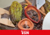Santo Domingo recibirá la 6ta edición del Festival del Chocolate Dominicano