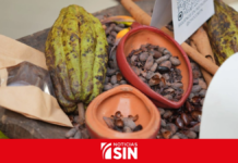 Santo Domingo recibirá la 6ta edición del Festival del Chocolate Dominicano