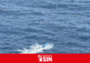 Armada de República Dominicana mantiene búsqueda de dos pescadores desaparecidos en San Pedro de Macorís