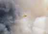 Cuando el fuego crea sus propias tormentas: el aterrador auge de los pirocumulonimbos y su impacto "volcánico"