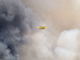 Cuando el fuego crea sus propias tormentas: el aterrador auge de los pirocumulonimbos y su impacto "volcánico"