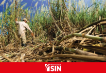 Grupo de derechos pide prohibir importaciones de productos de caña dominicana a EEUU