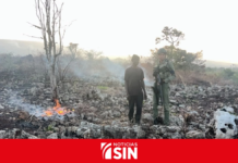 Defensa y Medio Ambiente lanzan operación para recuperar seis áreas protegidas del país
