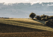 Un agricultor enterró sus calzoncillos en el campo para medir la fertilidad del suelo. Y la ciencia le da la razón
