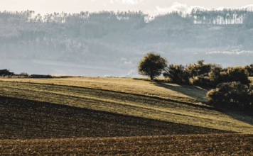 Un agricultor enterró sus calzoncillos en el campo para medir la fertilidad del suelo. Y la ciencia le da la razón