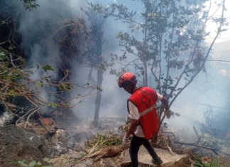 Muere el director de Inteligencia de Ecuador, su esposa y cinco ciudadanos de EE.UU. en accidente de helicóptero