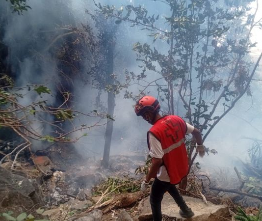 Muere el director de Inteligencia de Ecuador, su esposa y cinco ciudadanos de EE.UU. en accidente de helicóptero