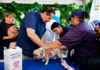 Ministerio de Salud realizará jornada de vacunación para perros y gatos este viernes 21 en Ciudad Juan Bosch