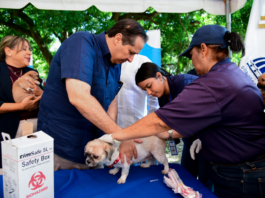 Ministerio de Salud realizará jornada de vacunación para perros y gatos este viernes 21 en Ciudad Juan Bosch