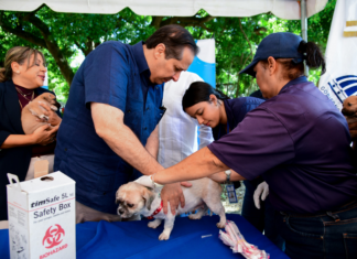 Ministerio de Salud realizará jornada de vacunación para perros y gatos este viernes 21 en Ciudad Juan Bosch