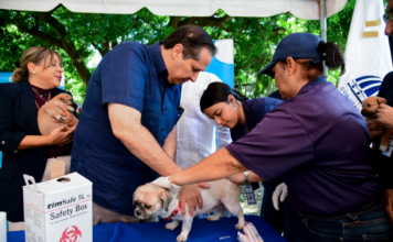 Ministerio de Salud realizará jornada de vacunación para perros y gatos este viernes 21 en Ciudad Juan Bosch