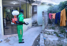 Con seis nuevas confirmaciones, casos de dengue suben a 245; Salud Pública dice está bajo control