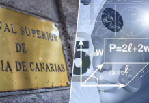 El Tribunal Superior de Justicia de Canarias multa a un abogado por citar hasta 48 sentencias falsas. Se las había sugerido la IA