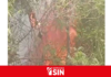 Incendio forestal se registra cerca del aeropuerto de El Portillo, en Las Terrenas