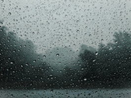 Clima hoy en Punta Cana, República Dominicana: el pronóstico del tiempo para este lunes 24 agosto de 2026