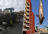 Qué demonios está pasando en las playas de Torrevieja, Orihuela y Pilar de la Horadada para que estén apareciendo varados atunes de 300 kilos