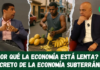¿Por Qué la Economía Está LENTA? El Secreto de la Economía Informal