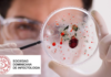 Sociedad Dominicana de Infectología participa en actualización sobre enfermedades arbovirales
