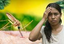 Dengue y otras enfermedades bajo vigilancia: Así anda República Dominicana