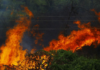 La peor señal de los incendios en España no es que ardan los montes: es que el fuego se está comiendo los cultivos