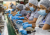 Casi 100,000 trabajadores en RD tienen “pluriempleo” en el sector formal para subsistir
