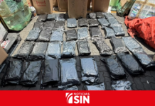 DNCD incauta 41 paquetes de marihuana en Puerto de Haina Oriental