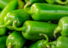 Los brotes de ciclosporiasis y salmonela ponen en el punto de mira a los productos agrícolas de México