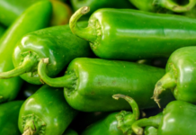 Los brotes de ciclosporiasis y salmonela ponen en el punto de mira a los productos agrícolas de México