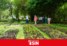 Digecac realizará Primer Festival de Plantas 2026