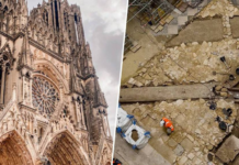Tras el incendio de Notre-Dame, París solo quería reconstruirla y darle sombra con árboles: la tierra le devolvió Lutecia