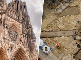 Tras el incendio de Notre-Dame, París solo quería reconstruirla y darle sombra con árboles: la tierra le devolvió Lutecia