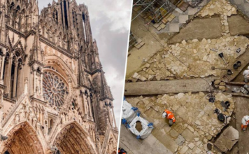 Tras el incendio de Notre-Dame, París solo quería reconstruirla y darle sombra con árboles: la tierra le devolvió Lutecia